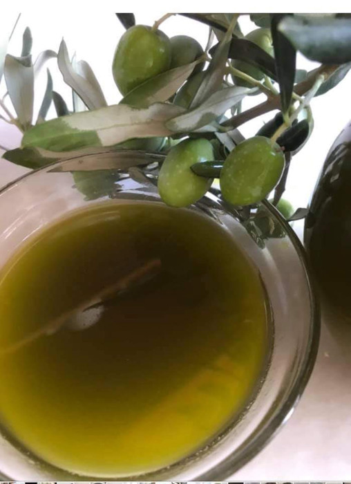 Bahçeden sofralara zeytinyağı yolculuğu