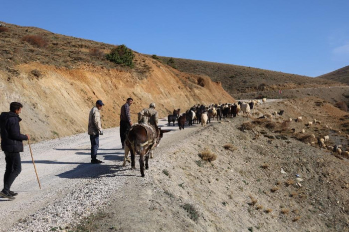 Konargöçerlerin zorlu göçü başladı