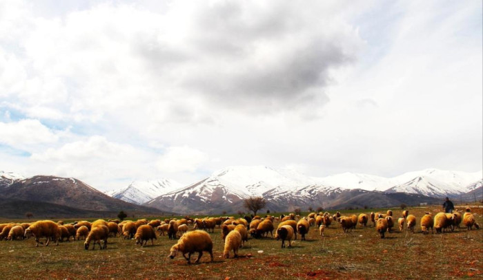  Kahramanmaraş'a yılın ilk karı yağdı