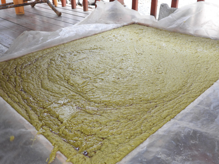 Binbir derde deva: Defne sabunu