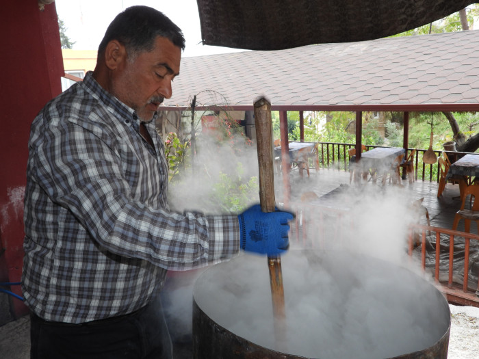 Binbir derde deva: Defne sabunu