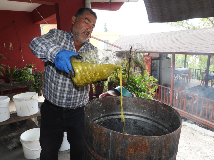 Binbir derde deva: Defne sabunu