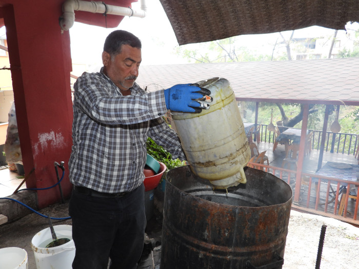 Binbir derde deva: Defne sabunu