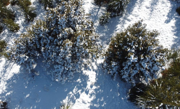 Beyaza bürünen Toroslar'da kartpostallık görüntüler oluştu