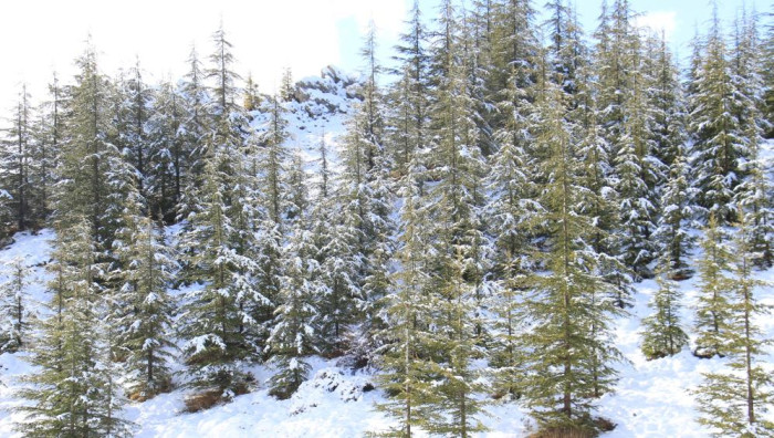 Beyaza bürünen Toroslar'da kartpostallık görüntüler oluştu