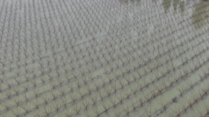 Su altında kalan tarım arazileri havadan görüntülendi