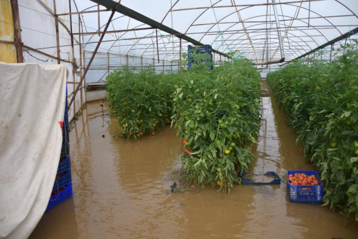 Antalya'da çiftçiler seralarına gitmekte zorlandı