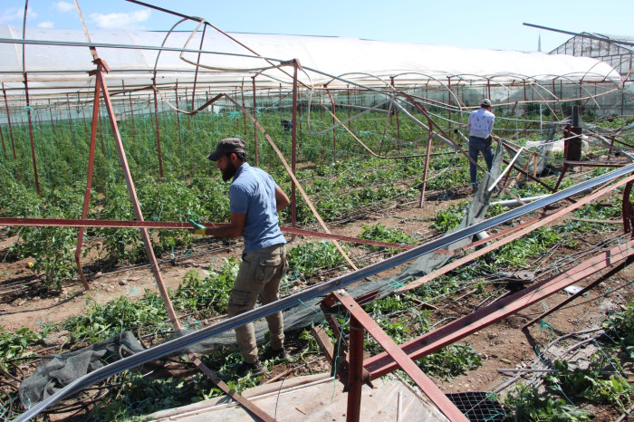 Hortum afetinden 265 dönüm alanda 111 üretici etkilendi
