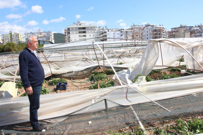 Hortum afetinden 265 dönüm alanda 111 üretici etkilendi