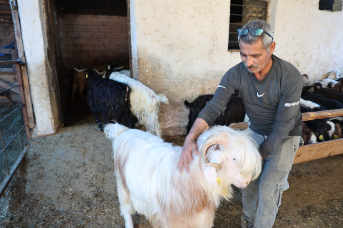 Kurbanlıklara bayram öncesi özel ilgi