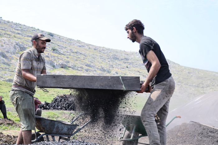 Çukurova sıcağında narenciye odunları mangal kömürüne dönüşüyor