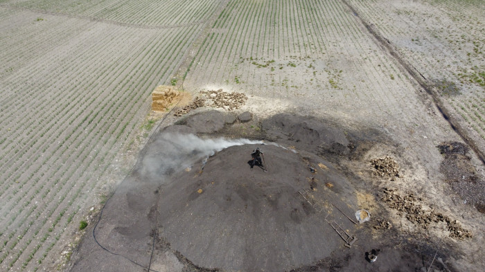Çukurova sıcağında narenciye odunları mangal kömürüne dönüşüyor