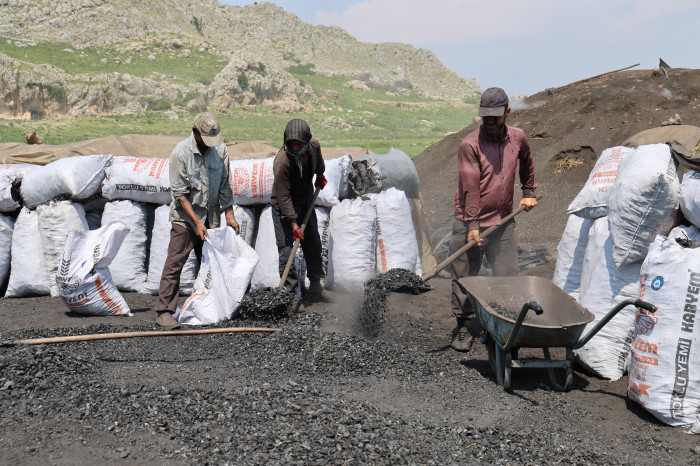 Çukurova sıcağında narenciye odunları mangal kömürüne dönüşüyor