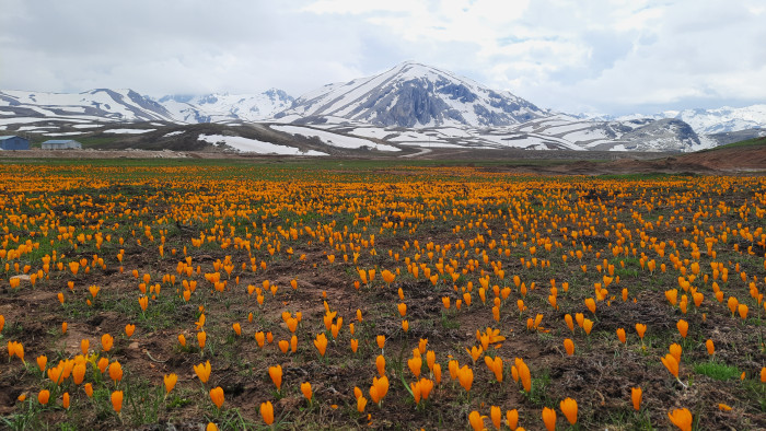 Eğrigöl tabii güzellikleriyle hayran bırakıyor