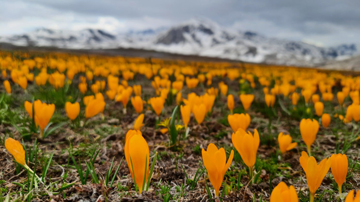 Eğrigöl tabii güzellikleriyle hayran bırakıyor