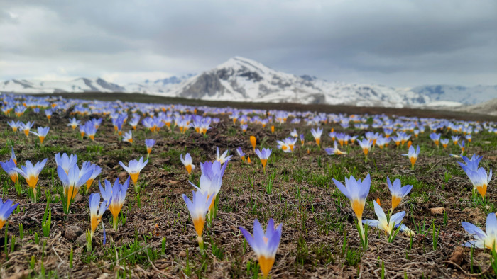 Eğrigöl tabii güzellikleriyle hayran bırakıyor