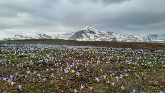Eğrigöl tabii güzellikleriyle hayran bırakıyor