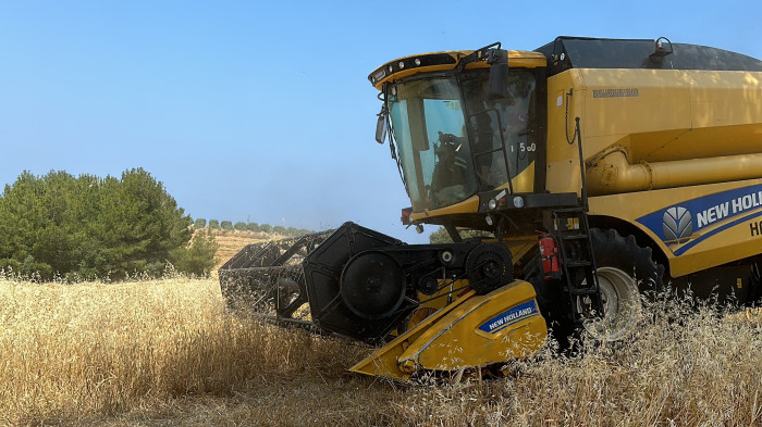 Enkaz kentin bereketli topraklarında buğday hasadı