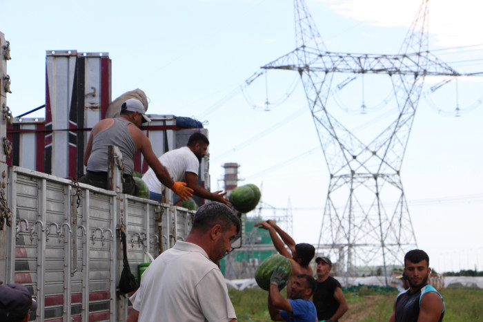 Yurt dışına ihraç edilen erkenci karpuz, depremzede çiftçinin yüzünü güldürdü