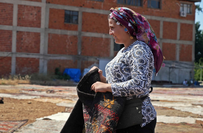 ABD'deki binlerce halı meraklısının gözü bu tarlada