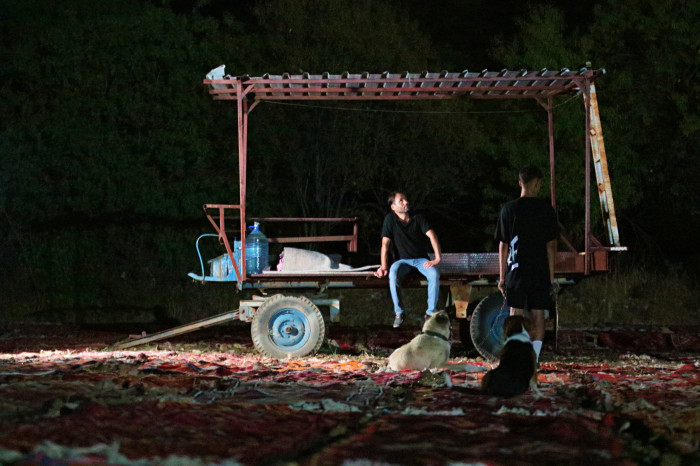 Tarlada milyonluk halı nöbeti: Güneş batınca başlıyor, doğunca bitiriyorlar