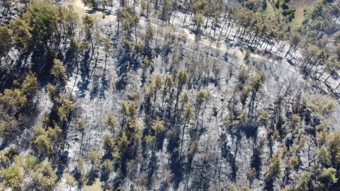 Adana'da 14 saatte 250 hektar orman yandı, acı bilanço havadan görüntülendi