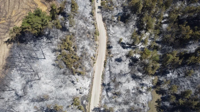 Adana'da 14 saatte 250 hektar orman yandı, acı bilanço havadan görüntülendi