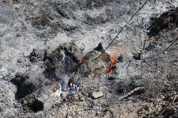 Adana'da 14 saatte 250 hektar orman yandı, acı bilanço havadan görüntülendi