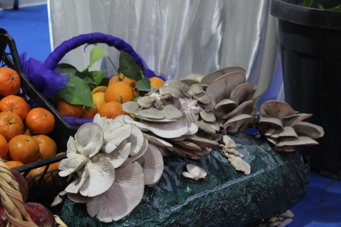 TARIMIN KALBİ MERSİN’DE ATIYOR