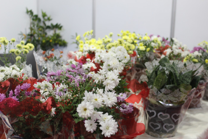 TARIMIN KALBİ MERSİN’DE ATIYOR