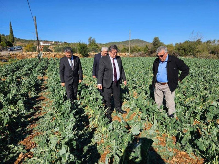 ERDEMLİ'DE HASAR TESPİT ÇALIŞMALARI DEVAM EDİYOR