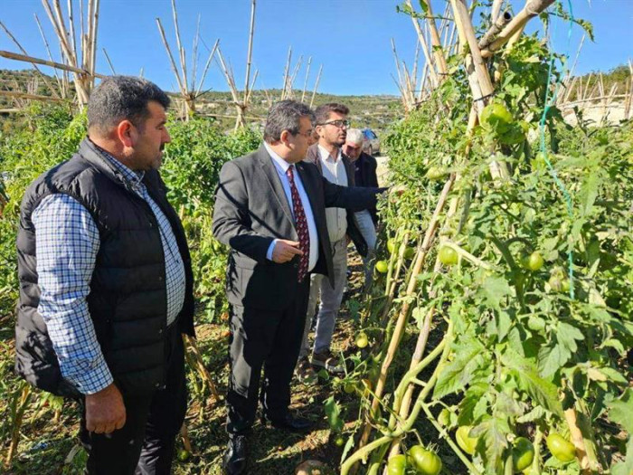 ERDEMLİ'DE HASAR TESPİT ÇALIŞMALARI DEVAM EDİYOR