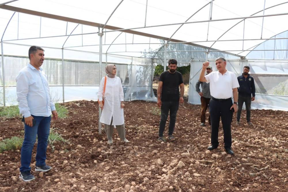 Adıyaman'da GAP desteği ile 46 çiftçi sera sahibi oluyor 