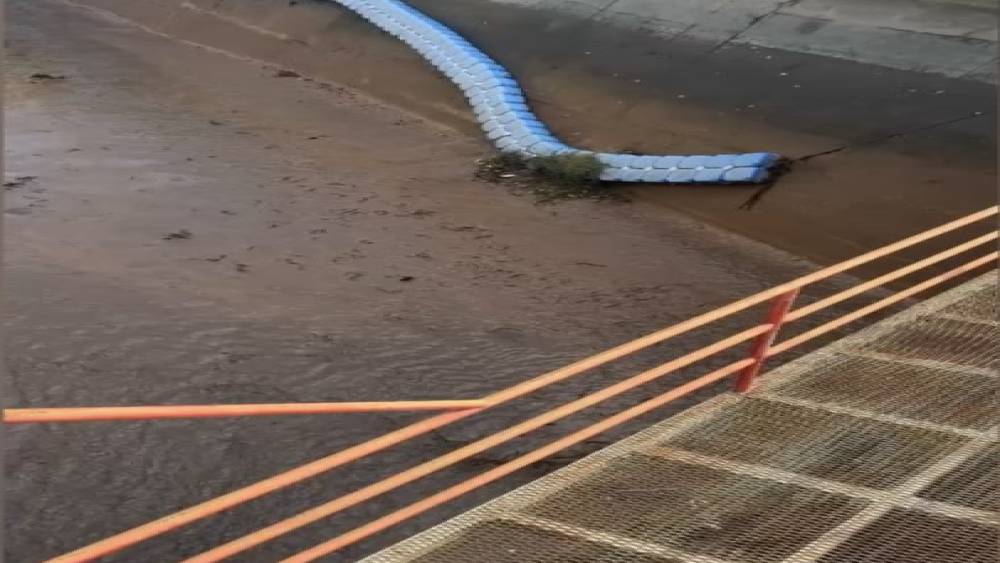 Osmaniye’de baraj kapakları açıldı, yüzlerce balık telef oldu