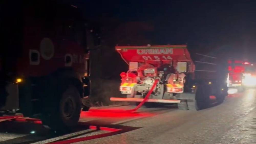 Adana’da orman yangını büyümeden söndürüldü