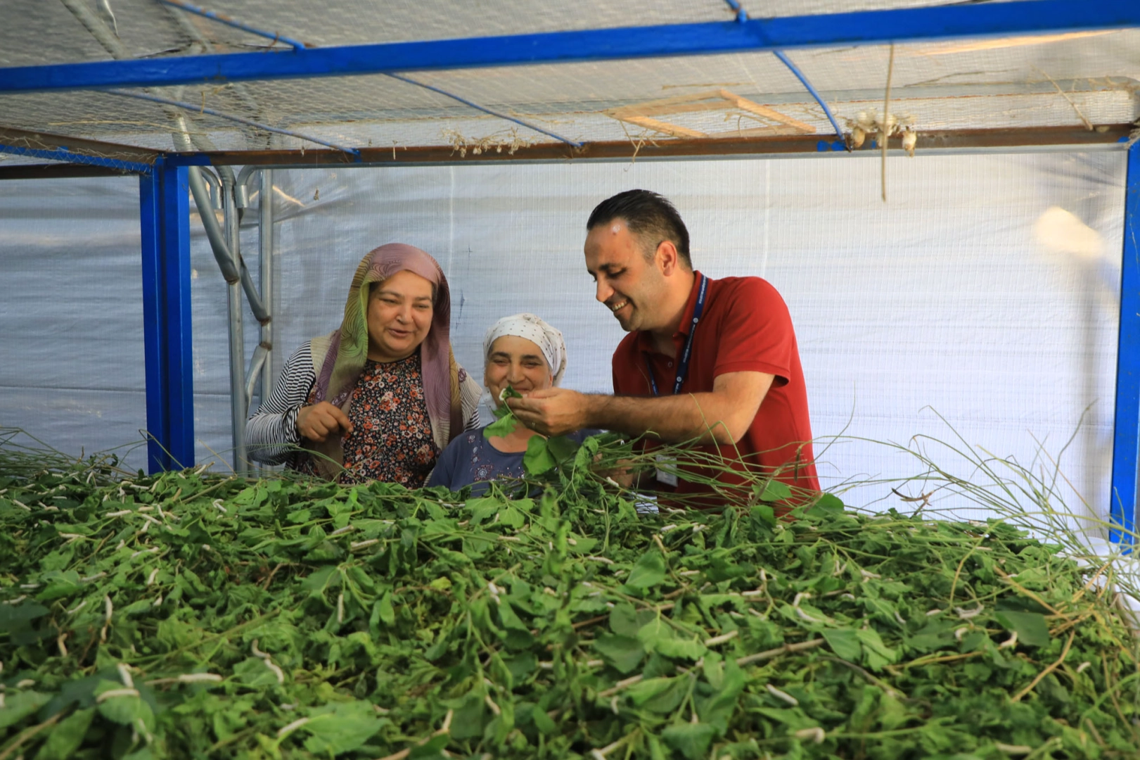 İpekböcekçiliği yeniden doğuyor! Ata mirasına modern dokunuş