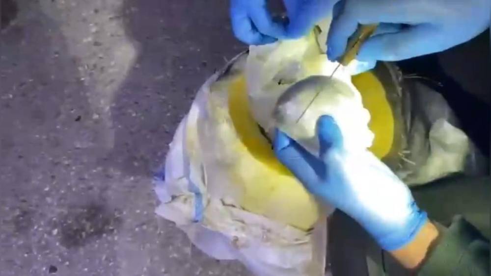 Osmaniye’de bal kabağından uyuşturucu çıktı