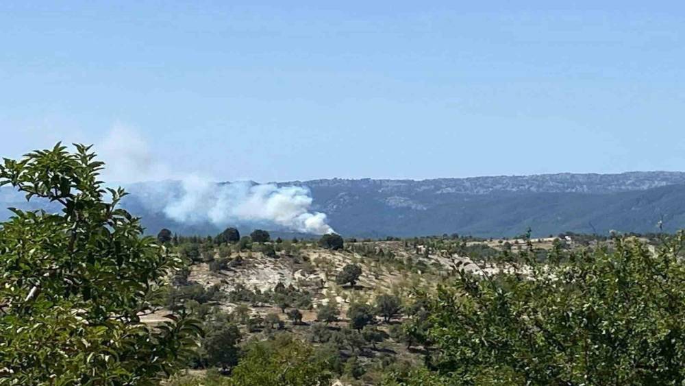 Bozyazı&rsquo;da orman yangını