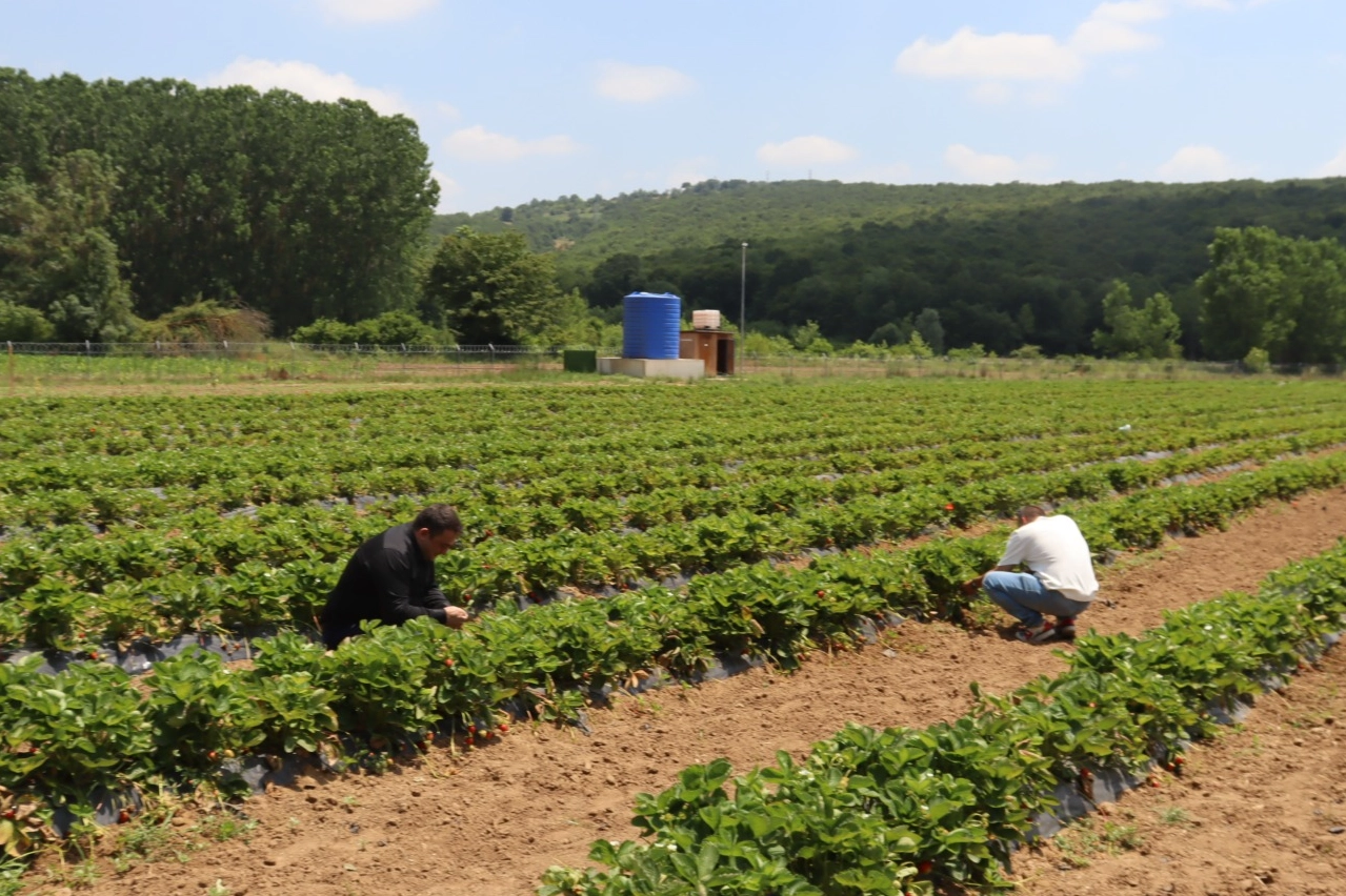 Kocaeli İzmit’te genç girişimcilere destek