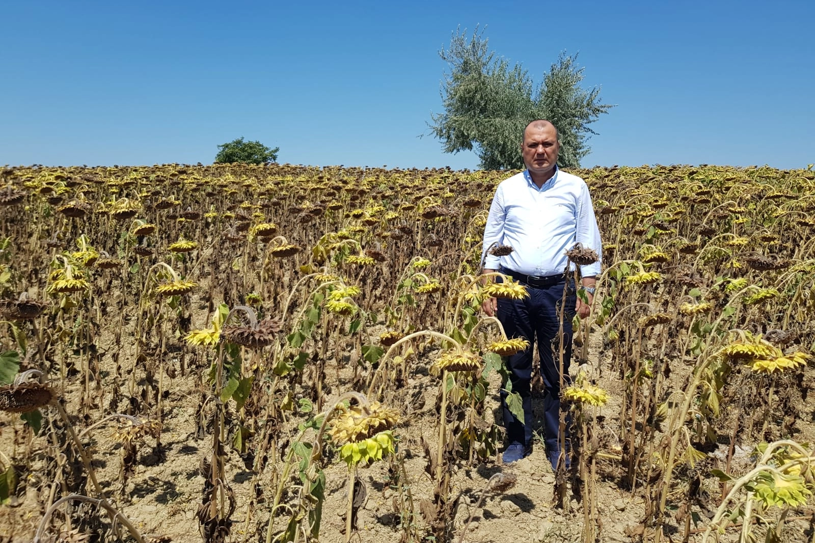 CHP Tekirdağ Milletvekili Aygun’dan kuraklık için yasa teklifi