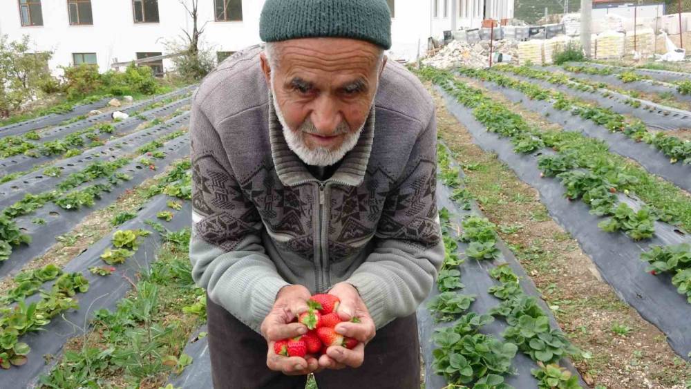 85 yaşındaki İbrahim dede 