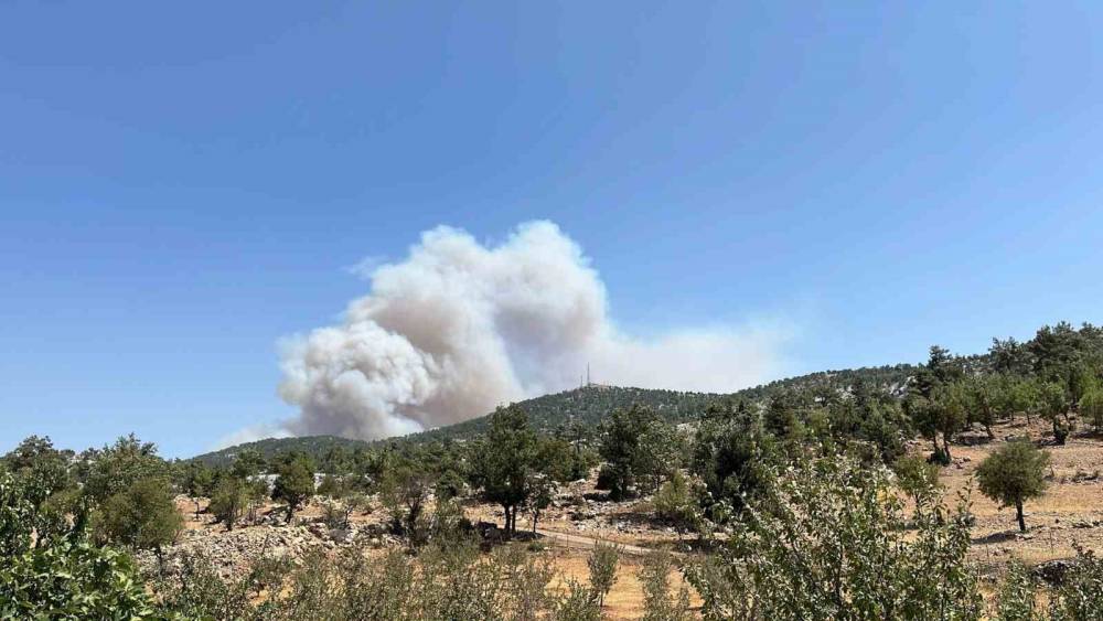 Mersin&rsquo;de orman yangını