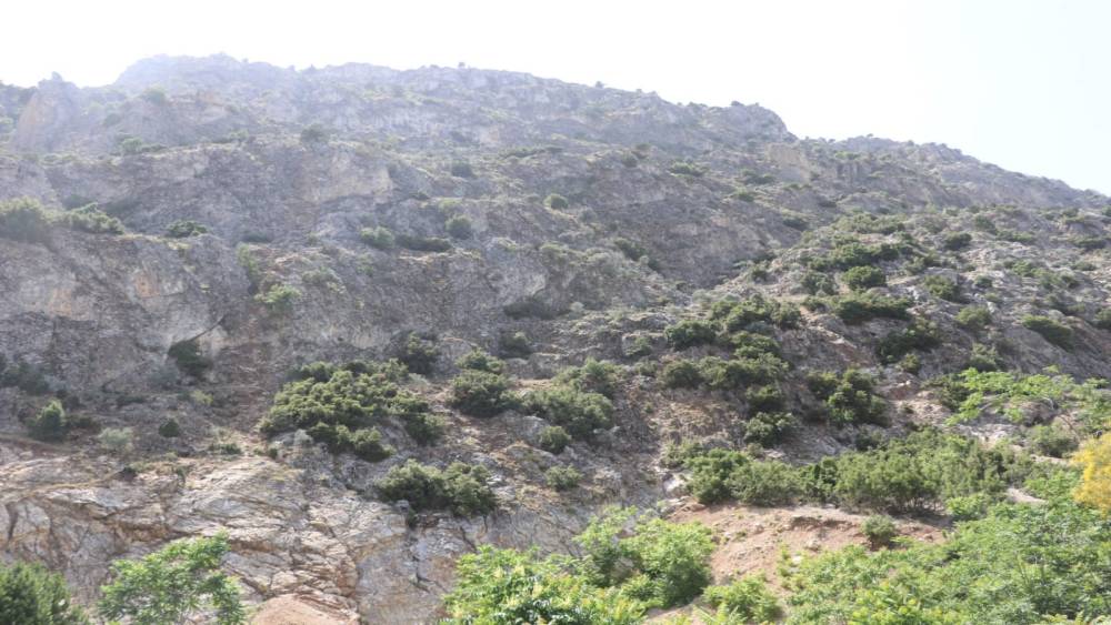 Doğa gezisine çıktı, ’En tepeye çıktım, mükemmel bir manzara var’ dedikten sonra haber alınamadı