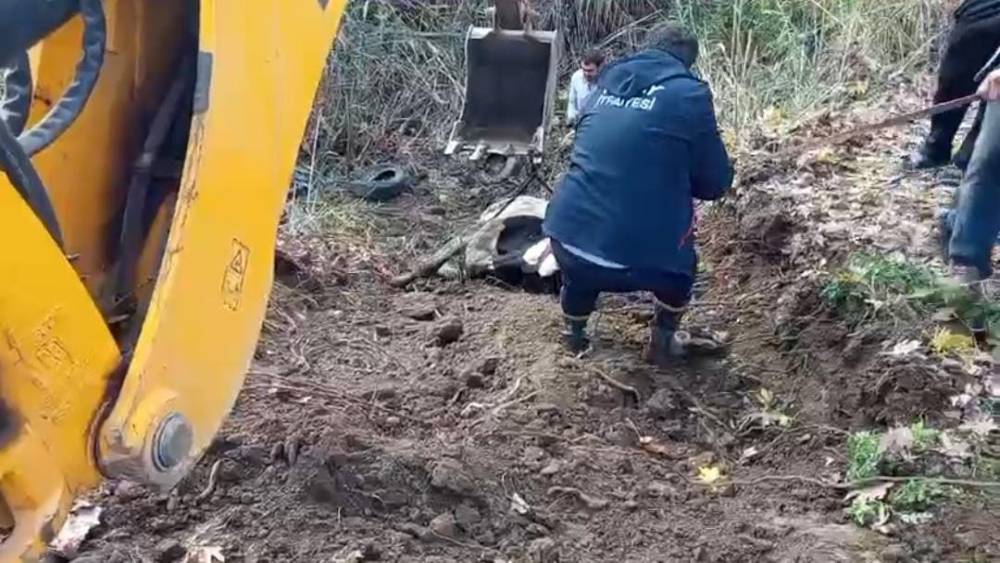 Hatay&rsquo;da dereye d&uuml;şen inek itfaiye ekipleri tarafından kurtarıldı
