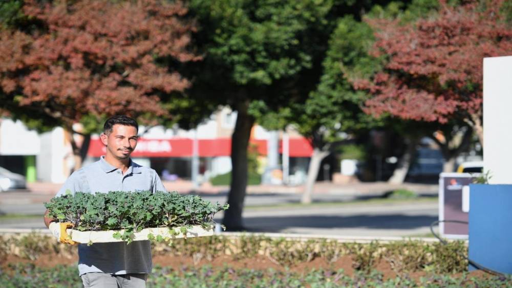 Konyaaltı&rsquo;nda mevsimlik &ccedil;i&ccedil;ek ekimi