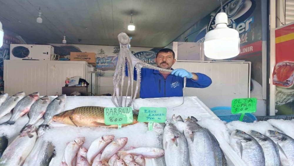 Denize kıyısı olmayan Kahramanmaraş&rsquo;ta balığa yoğun ilgi