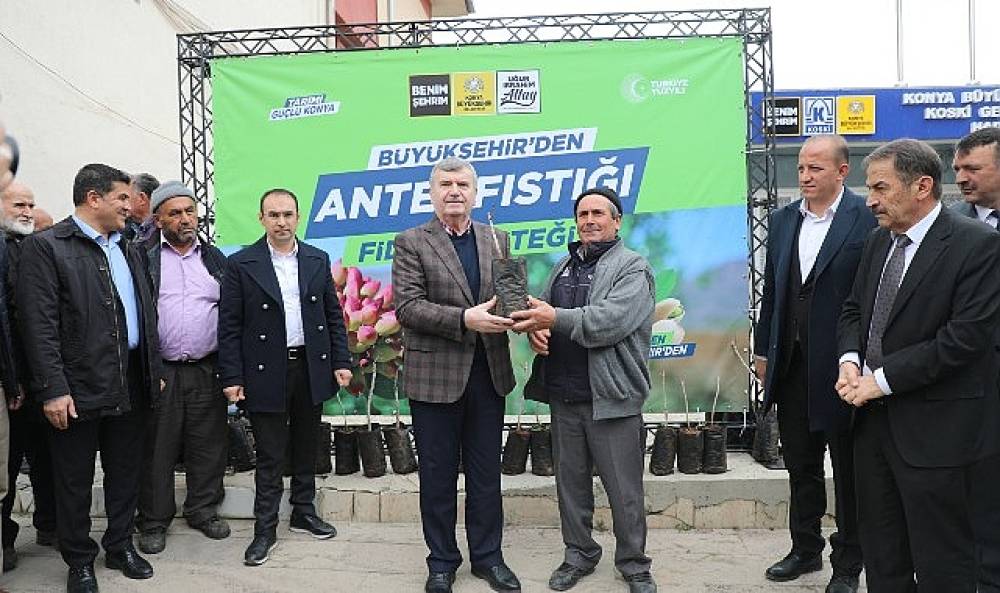 Yerköprü Havzasındaki Üreticilere Antep Fıstığı Desteği
