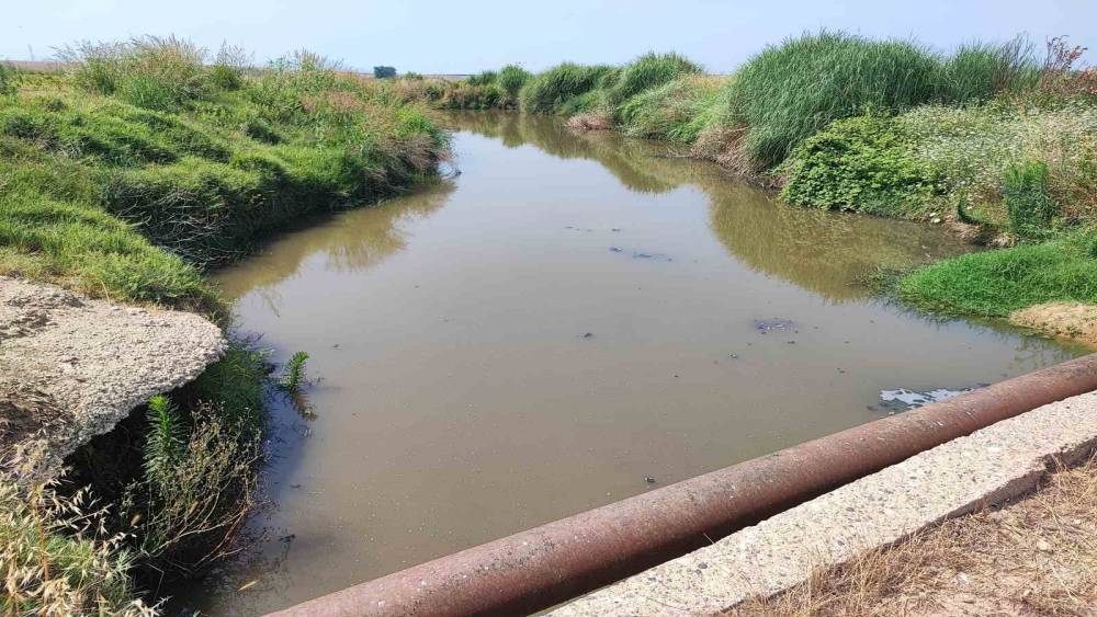Dere yatağına kanalizasyon akıyor
