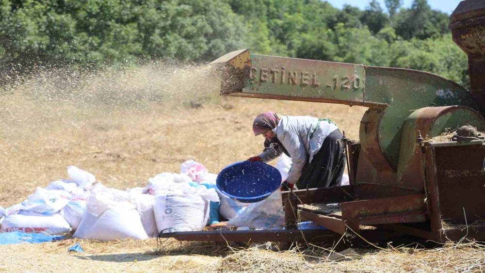 Hataylı &ccedil;ift&ccedil;ilerin kavurucu sıcakta tozlu mesaisi s&uuml;r&uuml;yor