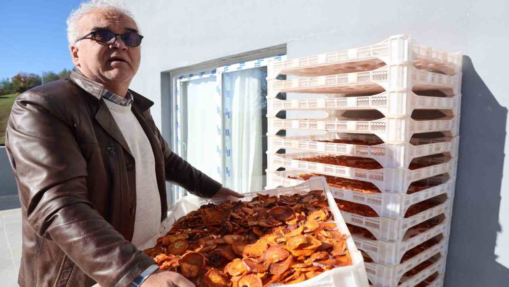 K&ouml;yde kurulan tesisle kurutulan cennet hurmaları Almanya&rsquo;ya ihra&ccedil; edildi